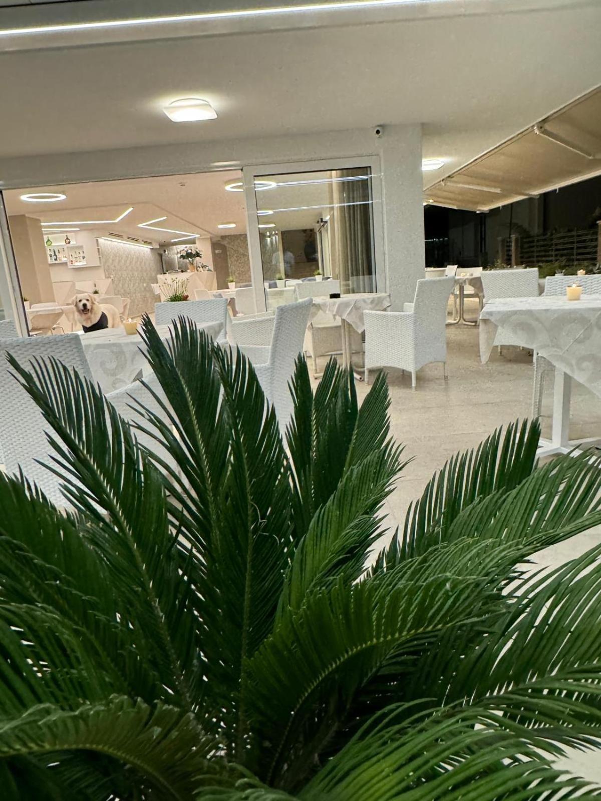 Hotel San Domingo Белларія-Іджеа-Марина Екстер'єр фото