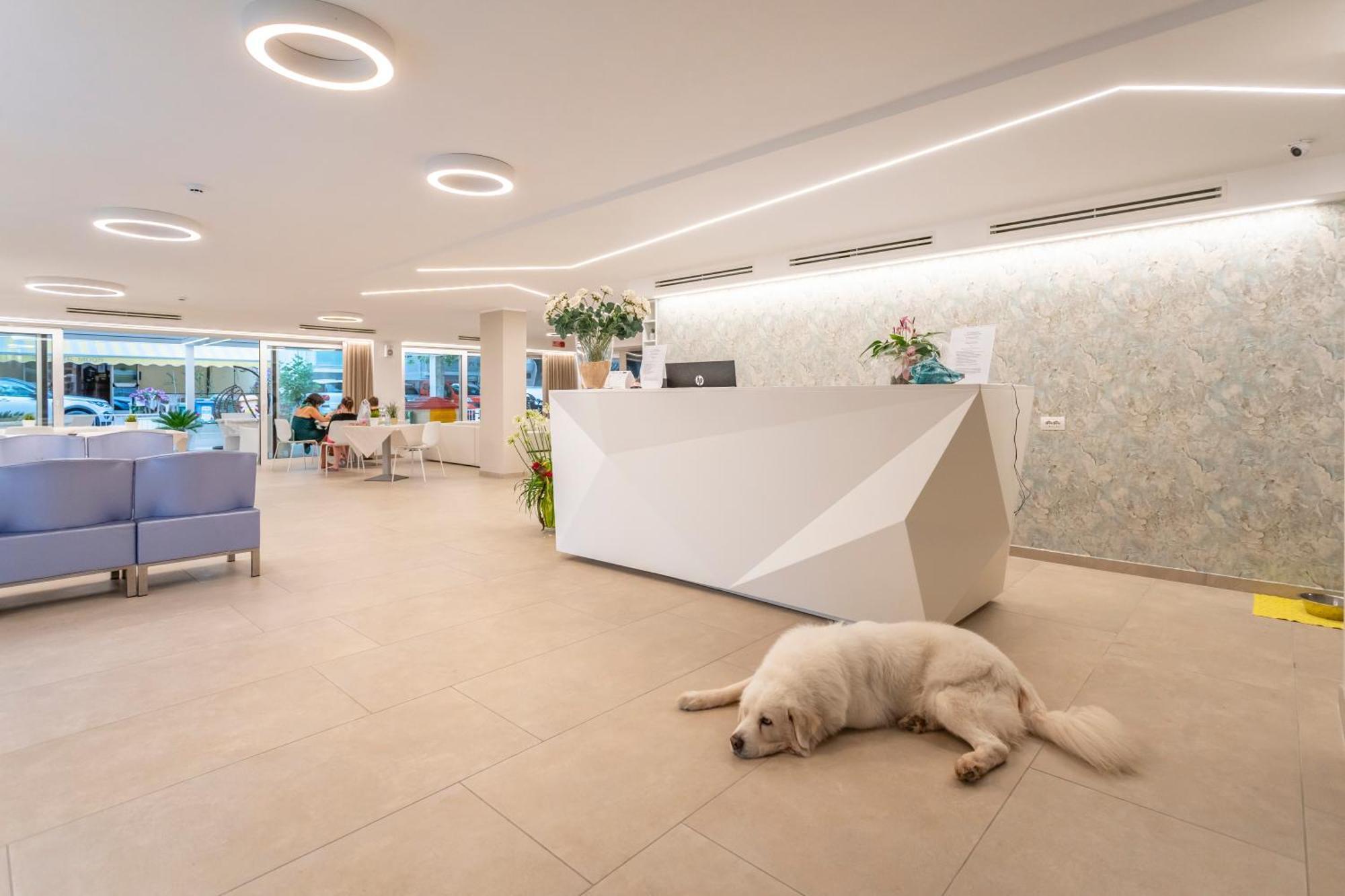 Hotel San Domingo Белларія-Іджеа-Марина Екстер'єр фото